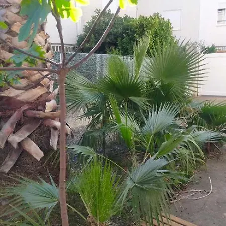 Cosy Et Spacieux Apartamento